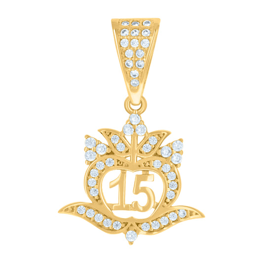 10k Yellow Gold Womens Cubic Zirconia Apple Shaped 15 Quinceanera Charm Pendant